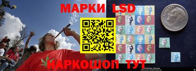 стафф Анжеро-Судженск
