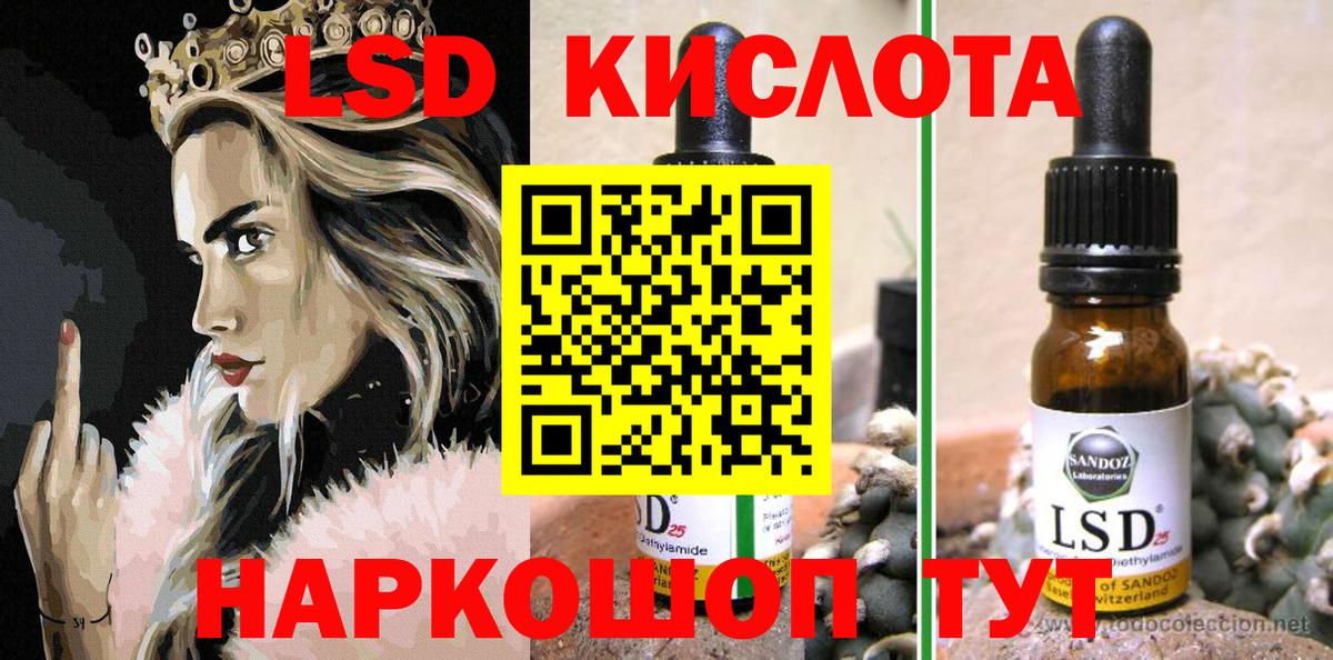 Меф Петрозаводск