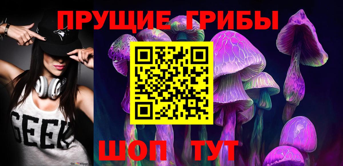 Псилоцибиновые грибы Psilocybe Петрозаводск