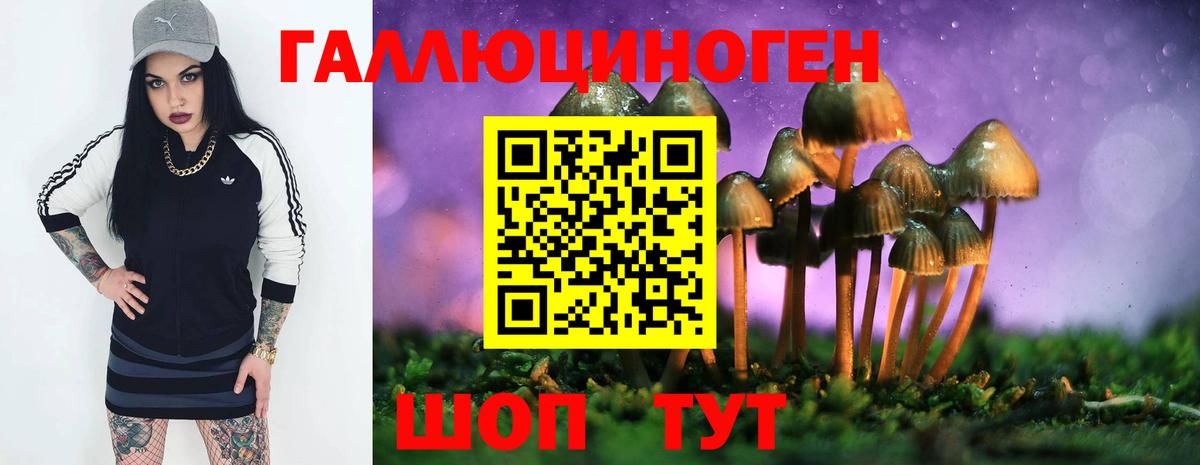 Галлюциногенные грибы Cubensis  Псилоцибиновые грибы Psilocybe  Вход с VPN  Петрозаводск 